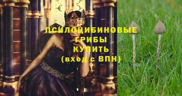 Альфа ПВП Балахна