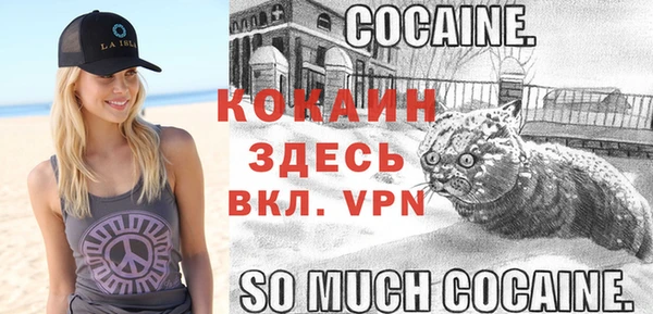 Альфа ПВП Балахна