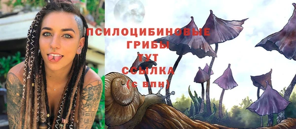 шишки Армянск