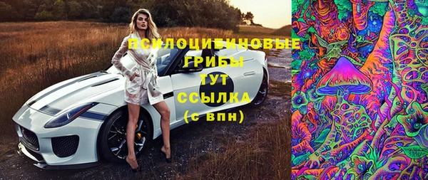 шишки Армянск