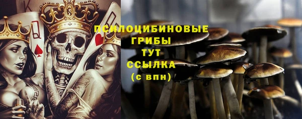 Альфа ПВП Балахна