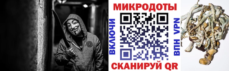 Псилоцибиновые грибы Cubensis  Белокуриха 